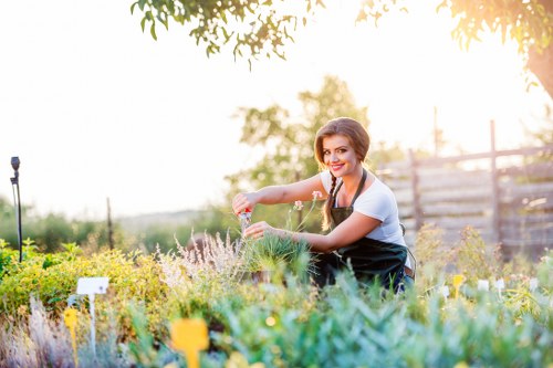 A woman with dark hair tied back, wearing a white t-shirt and navy apron, is tending to a garden in an outdoor back yard setting. She is crouched down beside a dense, well-maintained lawn surrounded by various flowering plants, shrubs, and small bushes. The garden features a mix of colours, including green foliage and hints of purple and yellow flowers, with the lawn area appearing lush and evenly cut. In the background, there are wooden fencing panels and some mature trees, with sunlight filtering through the leaves, indicating a clear, sunny day. The scene captures the essence of professional gardening and lawn care, aligned with local landscaping services in Brent Cross, and demonstrates the attentive maintenance of a residential outdoor space.