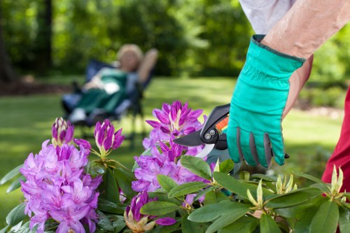 In the foreground, a gardener's hand wearing a teal gardening glove is seen using a pruning tool to trim a vibrant purple flowering shrub in a well-maintained garden. The shrubâ€™s green leaves contrast with the bright blossoms, which display various shades of purple and pink. Behind the gardener, there is a neatly cut lawn with lush, dense grass that extends across the outdoor space typical of a residential garden in Brent Cross, NW London. In the background, mature trees and a wooden garden chair are visible, suggesting a peaceful outdoor environment with natural sunlight filtering through the foliage. The garden features a combination of flowering plants, grass, and shaded areas, creating an inviting and tidy landscape suitable for outdoor relaxation and gardening services offered by Lawn Mowing Brent Cross. This scene captures precise garden maintenance activity within a landscaped private yard, emphasizing the importance of detailed garden care and trimming in maintaining vibrant outdoor spaces.