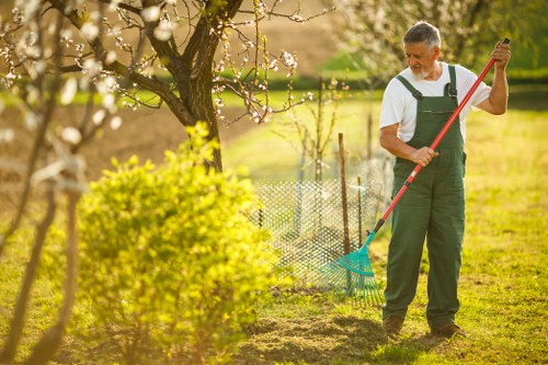 Representative image of a well-maintained Brent Cross lawn