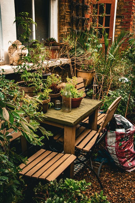 A small, well-maintained garden in front of a white residential building, featuring a paved patio area with red bricks and two square hedge beds bordered by low, compact, green shrubs. At the center o