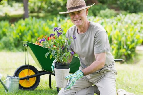 Eco-friendly lawn care practices in Brent Cross gardens